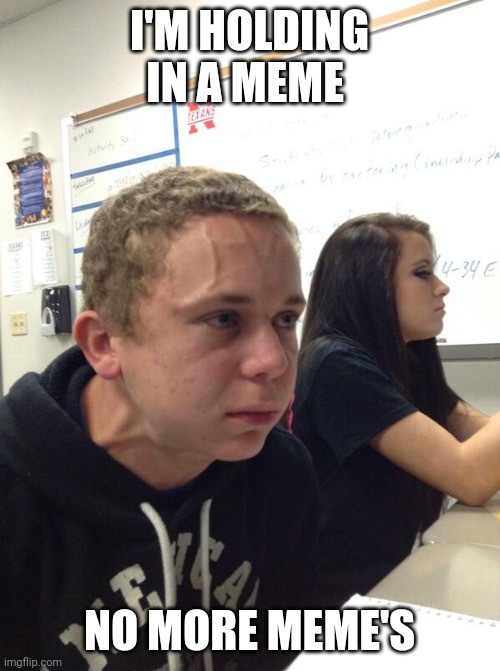 Hold fart | I'M HOLDING IN A MEME; NO MORE MEME'S | image tagged in hold fart | made w/ Imgflip meme maker