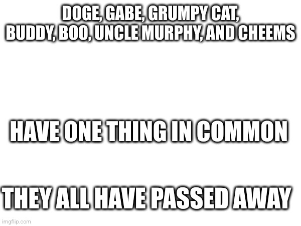 DOGE, GABE, GRUMPY CAT, BUDDY, BOO, UNCLE MURPHY, AND CHEEMS HAVE ONE THING IN COMMON THEY ALL HAVE PASSED AWAY | made w/ Imgflip meme maker