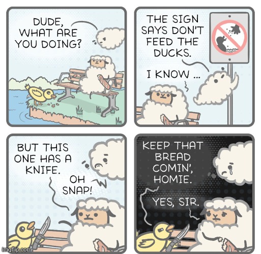 Duck with the knife | image tagged in ducks,duck,knife,bread,comics,comics/cartoons | made w/ Imgflip meme maker