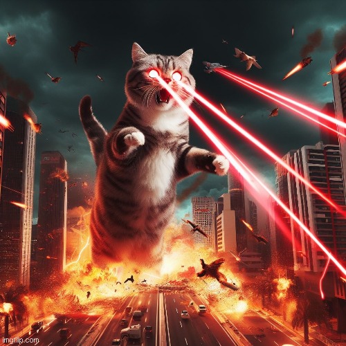 Silly little kitten | made w/ Imgflip meme maker