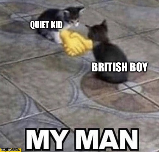 Cats shaking hands | QUIET KID BRITISH BOY | image tagged in cats shaking hands | made w/ Imgflip meme maker