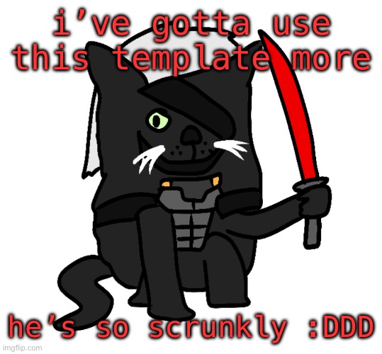 raidencat | i’ve gotta use this template more; he’s so scrunkly :DDD | image tagged in raidencat | made w/ Imgflip meme maker