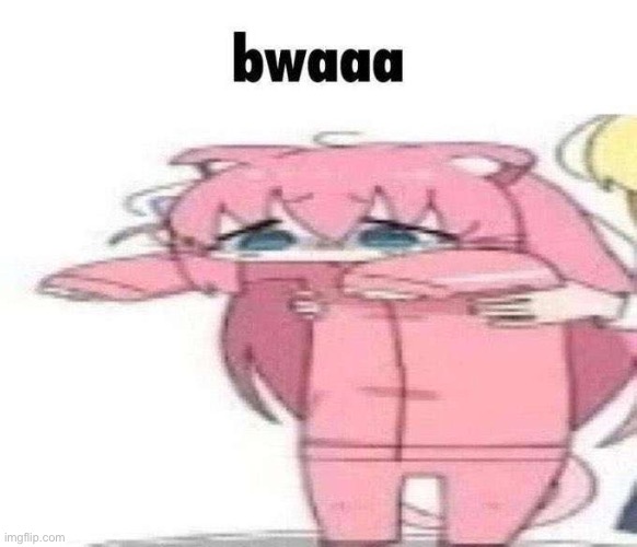 bwaaa | image tagged in bwaaa | made w/ Imgflip meme maker