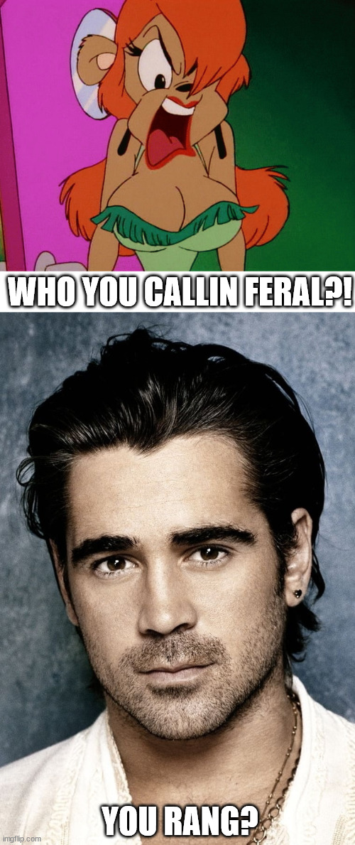 WHO YOU CALLIN FERAL?! YOU RANG? | image tagged in julie bruin pissed off | made w/ Imgflip meme maker