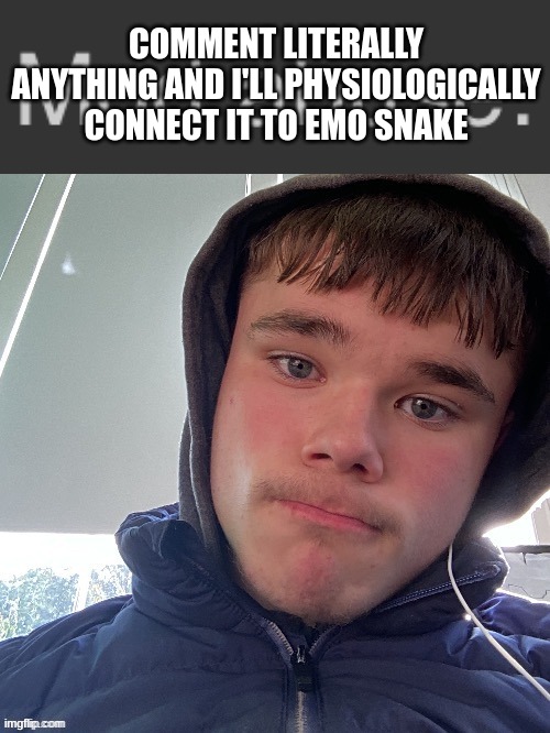 . | COMMENT LITERALLY ANYTHING AND I'LL PHYSIOLOGICALLY CONNECT IT TO EMO SNAKE | image tagged in mod abuse | made w/ Imgflip meme maker