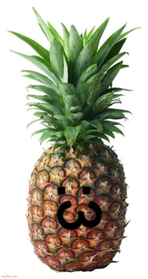 pineapple | :3 | image tagged in pineapple | made w/ Imgflip meme maker