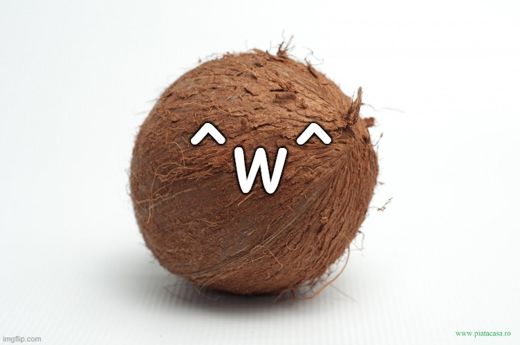 coconut | ^w^ | image tagged in coconut | made w/ Imgflip meme maker