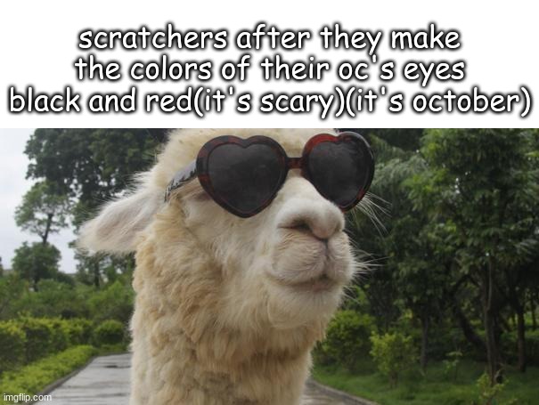 cool llama | scratchers after they make the colors of their oc's eyes black and red(it's scary)(it's october) | image tagged in cool llama | made w/ Imgflip meme maker