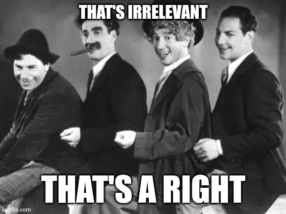 That's irrelavant | THAT'S IRRELEVANT; THAT'S A RIGHT | image tagged in marx brothers | made w/ Imgflip meme maker