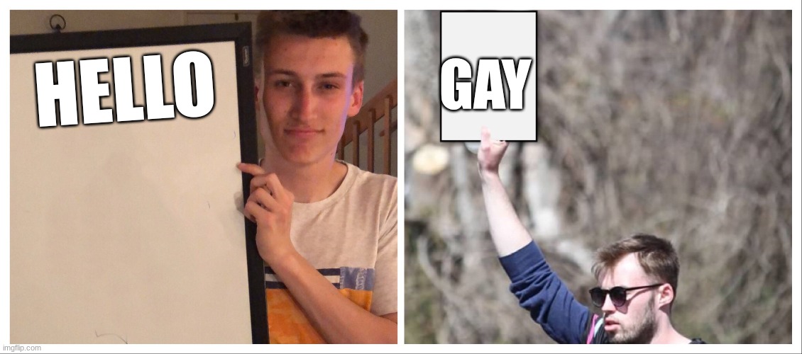 Sign bros | HELLO GAY | image tagged in sign bros | made w/ Imgflip meme maker