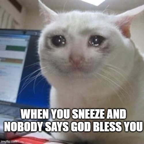 Crying cat | WHEN YOU SNEEZE AND NOBODY SAYS GOD BLESS YOU | image tagged in crying cat | made w/ Imgflip meme maker