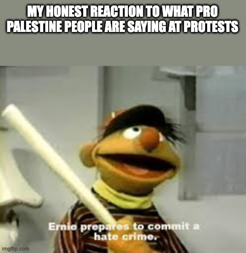 Bro they are doing Nazi salutes then calling us conservatives "neo-nazis" | MY HONEST REACTION TO WHAT PRO PALESTINE PEOPLE ARE SAYING AT PROTESTS | image tagged in ernie prepares to commit a hate crime,palestine,conservatives,insanity,idiots,stupid people | made w/ Imgflip meme maker