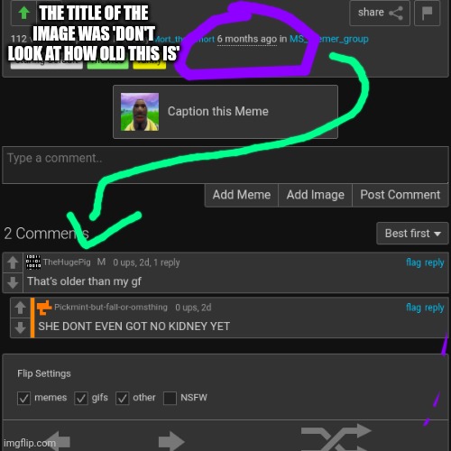 Pretty sure this is cursed | THE TITLE OF THE IMAGE WAS 'DON'T LOOK AT HOW OLD THIS IS' | image tagged in dragonz | made w/ Imgflip meme maker