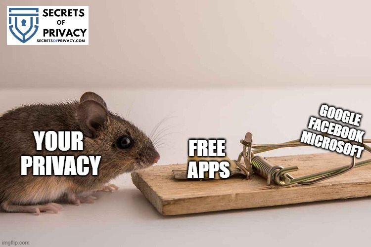 mouse trap | GOOGLE
FACEBOOK
MICROSOFT; YOUR 
PRIVACY; FREE 
APPS | image tagged in mouse trap,privacy,technology,google | made w/ Imgflip meme maker