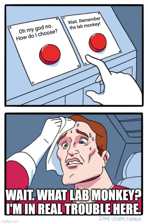 What do I do | Wait. Remember the lab monkey! Oh my god no. How do I choose? WAIT. WHAT LAB MONKEY? I'M IN REAL TROUBLE HERE. | image tagged in memes,two buttons | made w/ Imgflip meme maker
