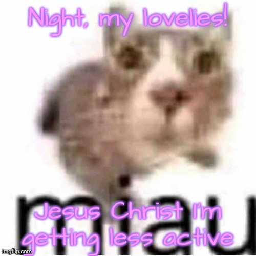 miau | Night, my lovelies! Jesus Christ I'm getting less active | image tagged in miau | made w/ Imgflip meme maker