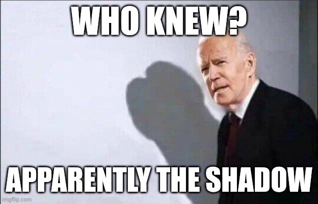 Brandon | WHO KNEW? APPARENTLY THE SHADOW | image tagged in biden dickhead template | made w/ Imgflip meme maker