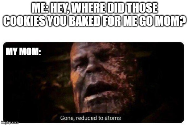 gone reduced to atoms | ME: HEY, WHERE DID THOSE COOKIES YOU BAKED FOR ME GO MOM? MY MOM: | image tagged in gone reduced to atoms | made w/ Imgflip meme maker