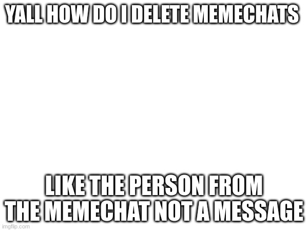 YALL HOW DO I DELETE MEMECHATS; LIKE THE PERSON FROM THE MEMECHAT NOT A MESSAGE | made w/ Imgflip meme maker