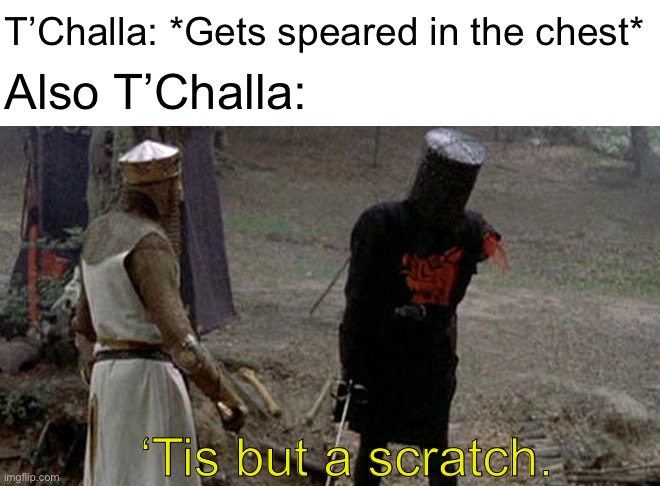 Tis but a scratch | T’Challa: *Gets speared in the chest*; Also T’Challa:; ‘Tis but a scratch. | image tagged in tis but a scratch,black panther | made w/ Imgflip meme maker