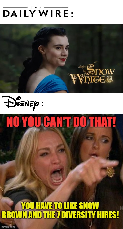 :; :; NO YOU CAN'T DO THAT! YOU HAVE TO LIKE SNOW BROWN AND THE 7 DIVERSITY HIRES! | image tagged in memes,movie,snow white,disney,princess,diversity | made w/ Imgflip meme maker