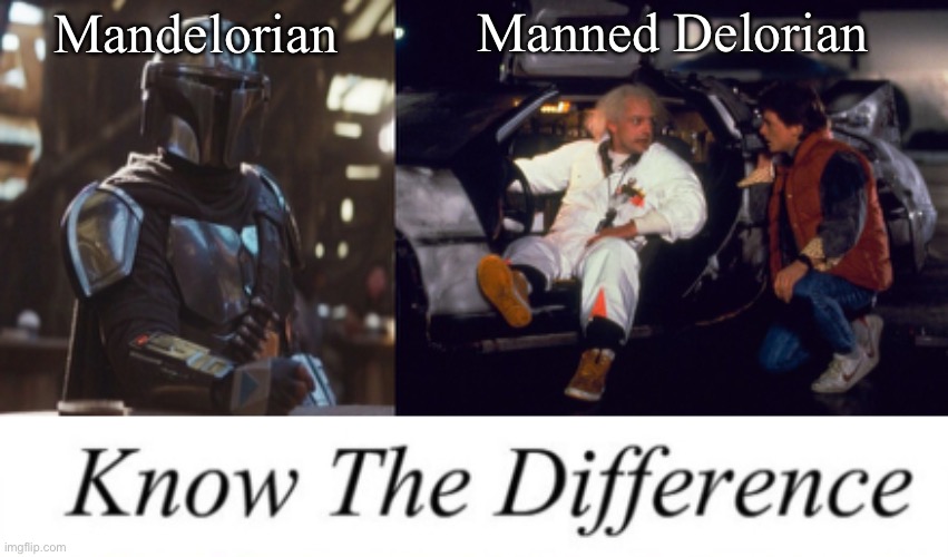 Mando vs Manned | Manned Delorian; Mandelorian | image tagged in mandelorian,back to the future doc marty delorean,know the difference | made w/ Imgflip meme maker