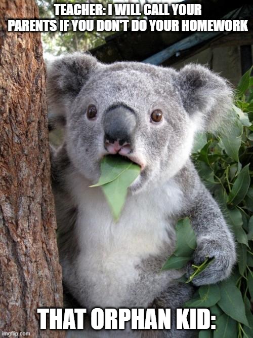 Surprised Koala Meme | TEACHER: I WILL CALL YOUR PARENTS IF YOU DON'T DO YOUR HOMEWORK; THAT ORPHAN KID: | image tagged in memes,surprised koala,unfunny,school meme,orphan | made w/ Imgflip meme maker