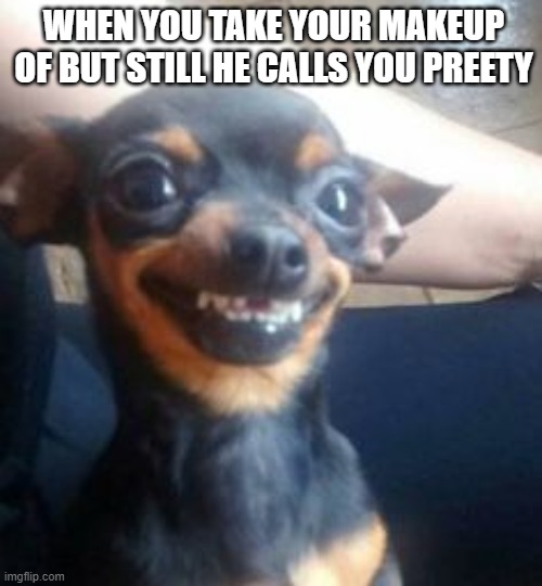 sometimes... | WHEN YOU TAKE YOUR MAKEUP OF BUT STILL HE CALLS YOU PREETY | image tagged in smiling cat,the most interesting man in the world,relatable,x x everywhere,re-create | made w/ Imgflip meme maker