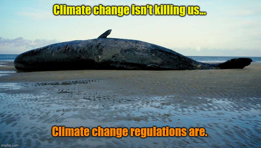 beached whale | Climate change isn't killing us... Climate change regulations are. | image tagged in beached whale | made w/ Imgflip meme maker