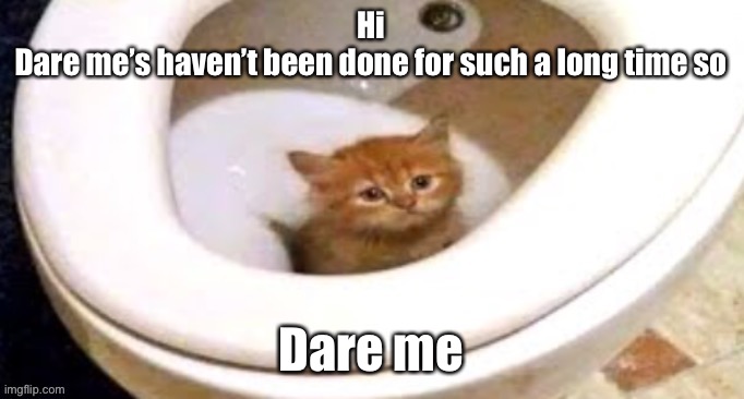 Though I can say no | Hi
Dare me’s haven’t been done for such a long time so; Dare me | image tagged in toilet cat | made w/ Imgflip meme maker