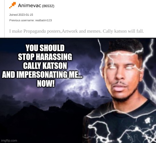 stop this copycat shit. | YOU SHOULD STOP HARASSING CALLY KATSON AND IMPERSONATING ME...    
 NOW! | image tagged in stop,copyright,mepios sucks,anti furry,furry,mepios | made w/ Imgflip meme maker