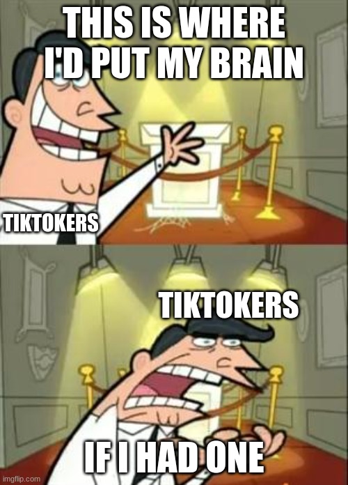 For real | THIS IS WHERE I'D PUT MY BRAIN; TIKTOKERS; TIKTOKERS; IF I HAD ONE | image tagged in memes,this is where i'd put my trophy if i had one | made w/ Imgflip meme maker
