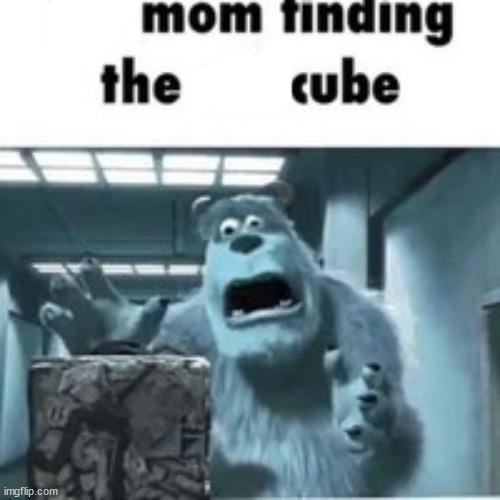 my mom finding the shitcube | image tagged in my mom finding the shitcube | made w/ Imgflip meme maker