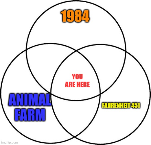 Venn diagram | 1984; YOU ARE HERE; ANIMAL FARM; FAHRENHEIT 451 | image tagged in venn diagram | made w/ Imgflip meme maker