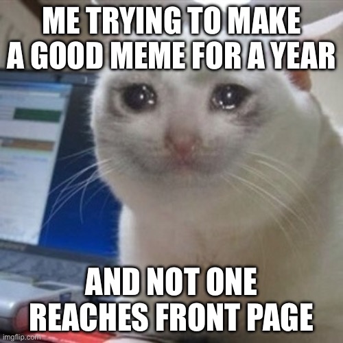 This is what every imgflip kid wants | ME TRYING TO MAKE A GOOD MEME FOR A YEAR; AND NOT ONE REACHES FRONT PAGE | image tagged in front page | made w/ Imgflip meme maker