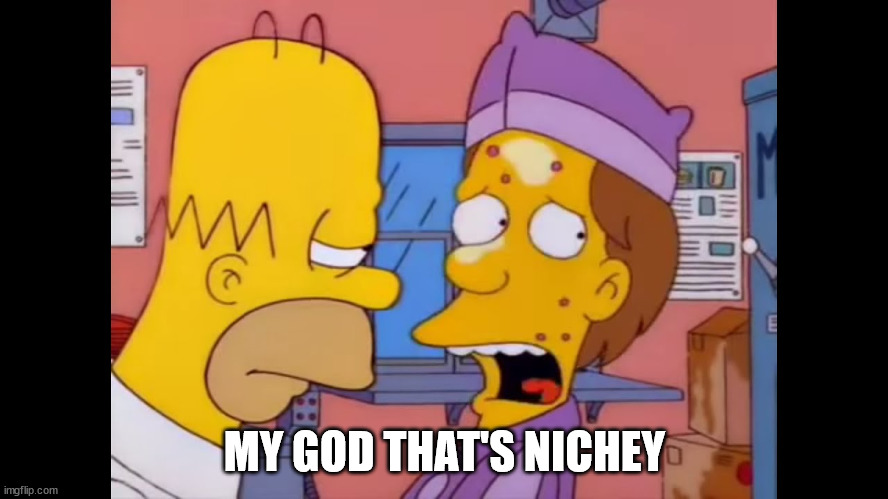 My God thats nichey | MY GOD THAT'S NICHEY | image tagged in my god your greasy | made w/ Imgflip meme maker