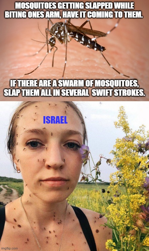 Irony: The Spanish word Mosqueta is the Root Word for Mosquito. Coincidence? | MOSQUITOES GETTING SLAPPED WHILE BITING ONES ARM, HAVE IT COMING TO THEM. IF THERE ARE A SWARM OF MOSQUITOES, SLAP THEM ALL IN SEVERAL  SWIFT STROKES. ISRAEL | image tagged in spain,spanish,israel,palestine,joe biden,pests | made w/ Imgflip meme maker