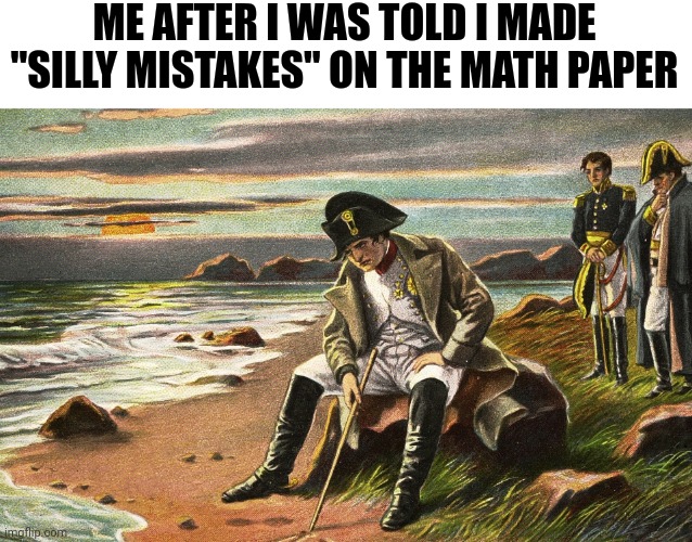 EVERYTIME THIS HAPPENS | ME AFTER I WAS TOLD I MADE "SILLY MISTAKES" ON THE MATH PAPER | image tagged in napoleon,memes,funny | made w/ Imgflip meme maker
