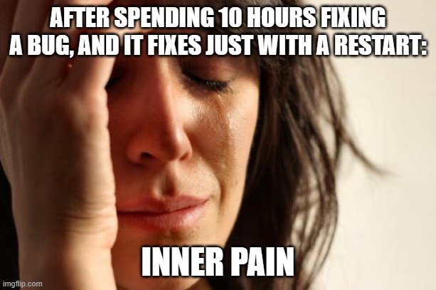 When an old bug fixes JUST WITH A RESTART | AFTER SPENDING 10 HOURS FIXING A BUG, AND IT FIXES JUST WITH A RESTART:; INNER PAIN | image tagged in programming,programmers,bugs,coding,first world problems | made w/ Imgflip meme maker