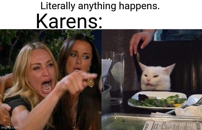 •-• | Literally anything happens. Karens: | image tagged in memes,woman yelling at cat | made w/ Imgflip meme maker