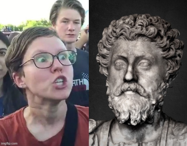 High Quality Triggered Feminist vs Stoic Statue Blank Meme Template