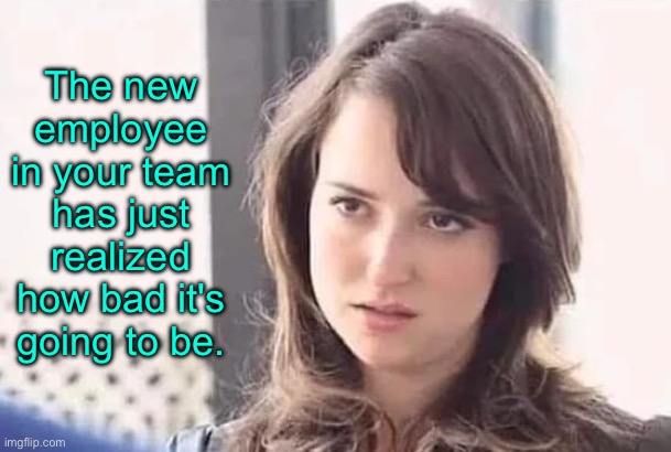 New employee | The new employee in your team has just realized how bad it's going to be. | image tagged in realization,new employee,team,just realized,how bad,fun | made w/ Imgflip meme maker