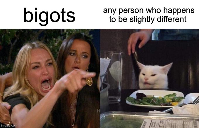Woman Yelling At Cat Meme | bigots any person who happens to be slightly different | image tagged in memes,woman yelling at cat | made w/ Imgflip meme maker