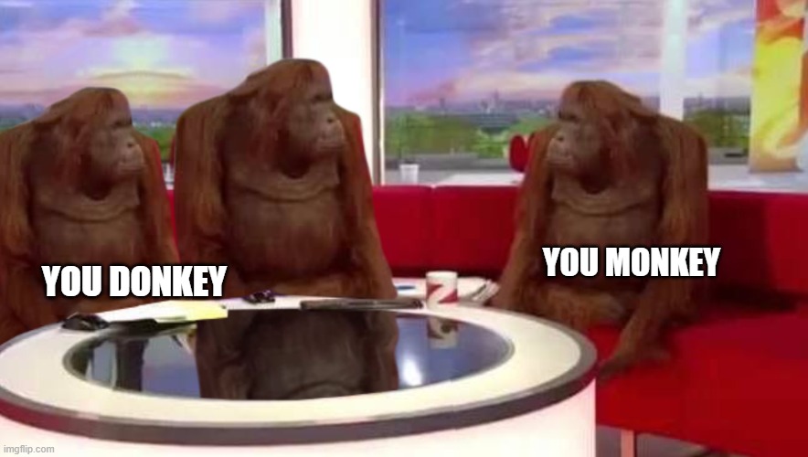 where monkey | YOU MONKEY; YOU DONKEY | image tagged in where monkey | made w/ Imgflip meme maker