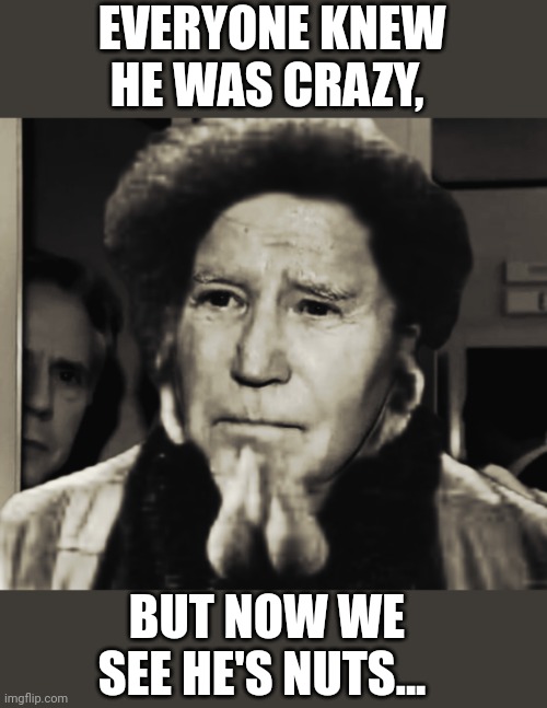 BIDEN HAS A NEW LOOK | EVERYONE KNEW HE WAS CRAZY, BUT NOW WE SEE HE'S NUTS... | image tagged in biden,ballchinian,fjb,crush the commies | made w/ Imgflip meme maker