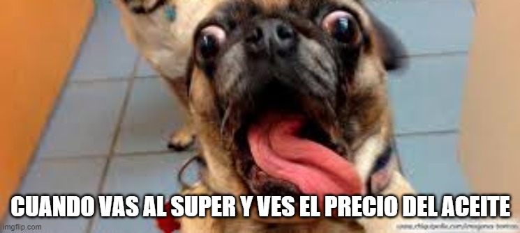 perro loco | CUANDO VAS AL SUPER Y VES EL PRECIO DEL ACEITE | image tagged in perro loco | made w/ Imgflip meme maker