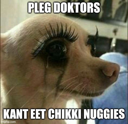 Pleg Doktors Kant Eet chikki nuggies | PLEG DOKTORS; KANT EET CHIKKI NUGGIES | image tagged in mascara chihuahua | made w/ Imgflip meme maker