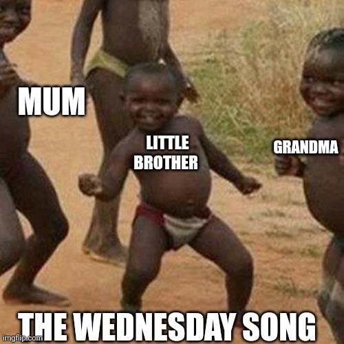 True | MUM; GRANDMA; LITTLE BROTHER; THE WEDNESDAY SONG | image tagged in memes,third world success kid | made w/ Imgflip meme maker