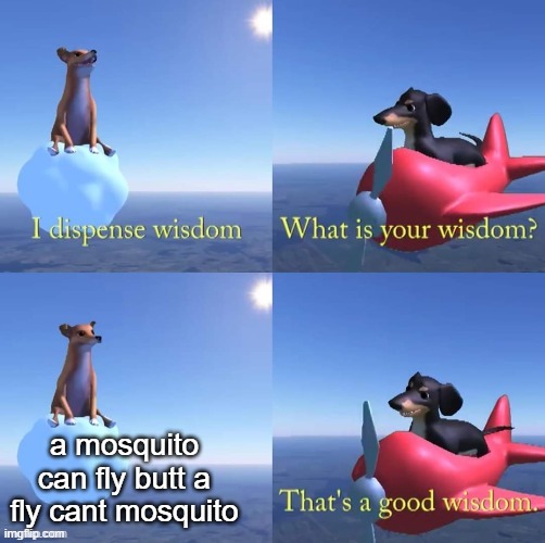 fly vs mosquito | a mosquito can fly butt a fly cant mosquito | image tagged in wisdom dog | made w/ Imgflip meme maker