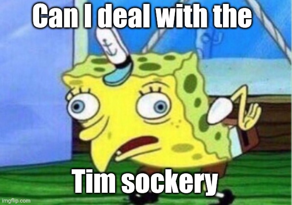 Mocking Spongebob Meme | Can I deal with the Tim sockery | image tagged in memes,mocking spongebob | made w/ Imgflip meme maker